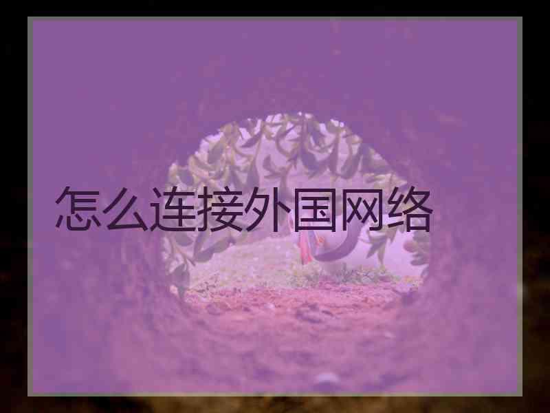 怎么连接外国网络 怎么连接外国网络