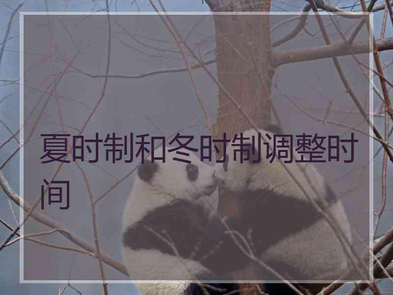 夏时制和冬时制调整时间 夏时制和冬时制调整时间
