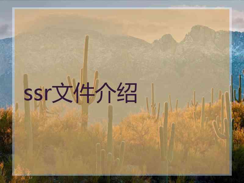 ssr文件介绍 ssr文件介绍
