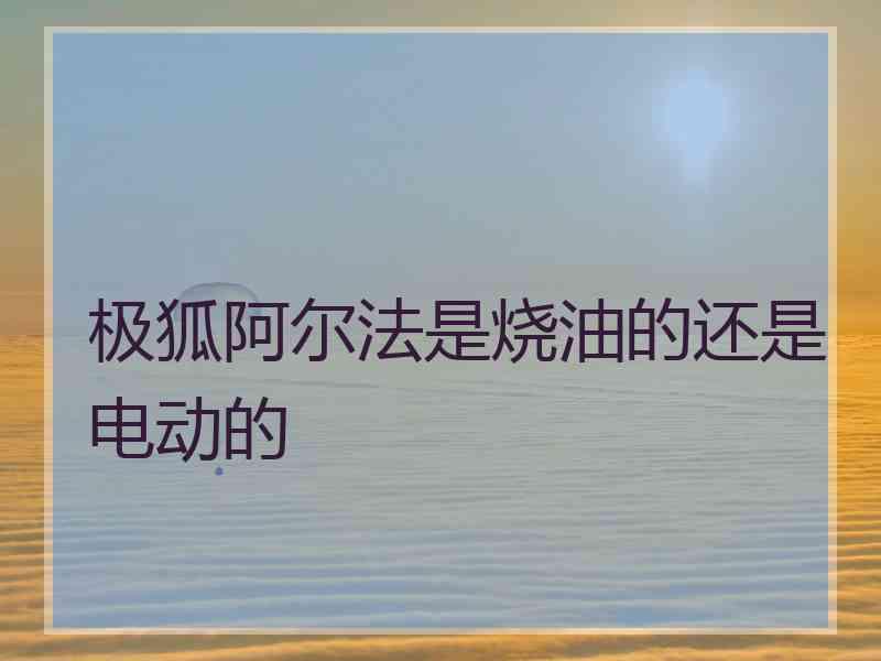 极狐阿尔法是烧油的还是电动的 极狐阿尔法是烧油的还是电动的