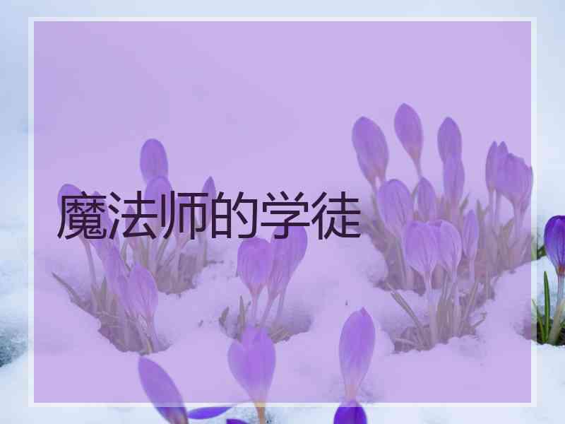 魔法师的学徒 魔法师的学徒