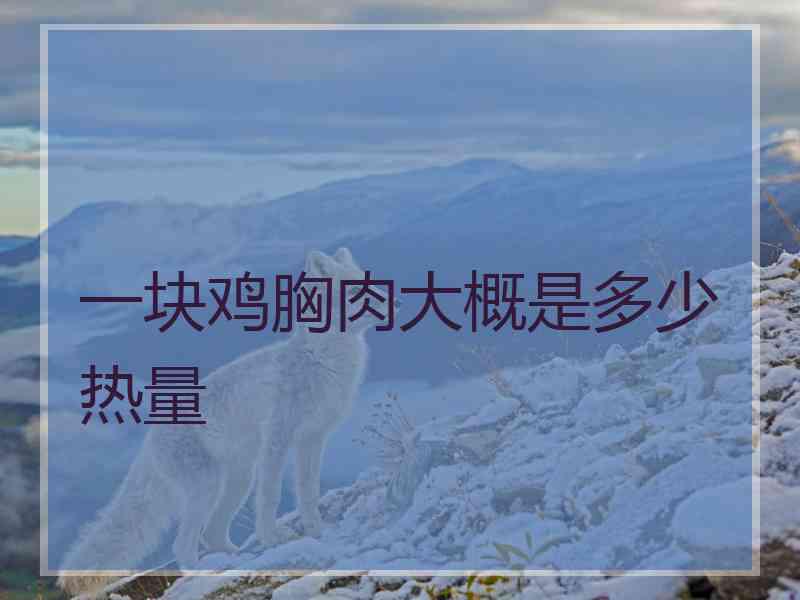 一块鸡胸肉大概是多少热量 一块鸡胸肉大概是多少热量