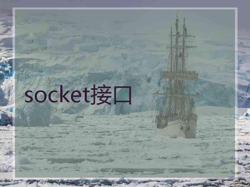 socket接口 socket接口