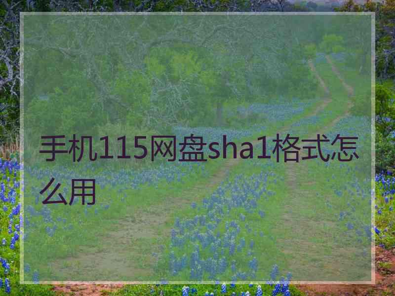 手机115网盘sha1格式怎么用 手机115网盘sha1格式怎么用