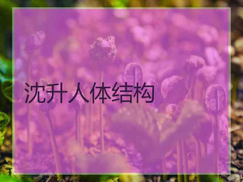 沈升人体结构 沈升人体结构