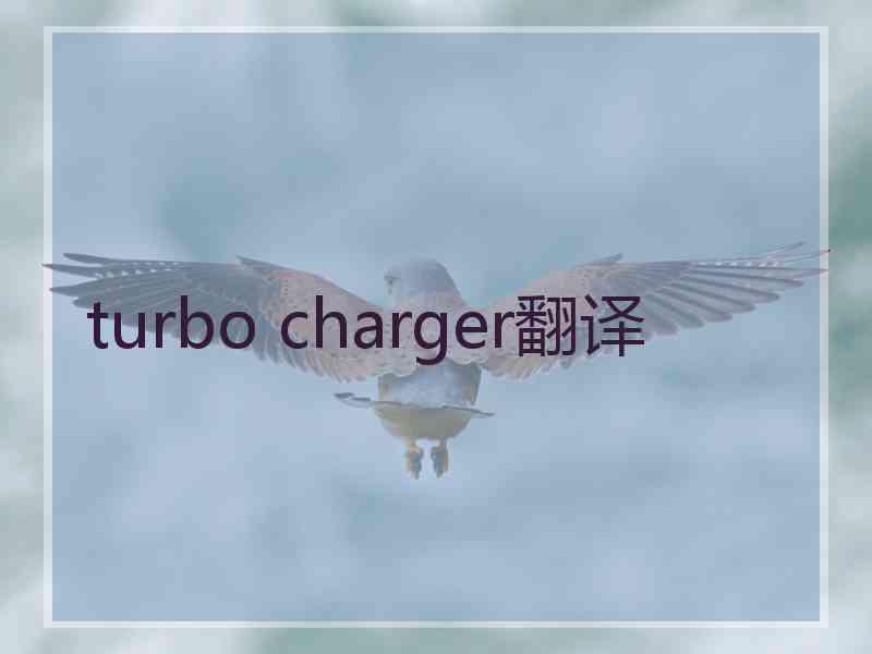turbo charger翻译 turbo charger翻译