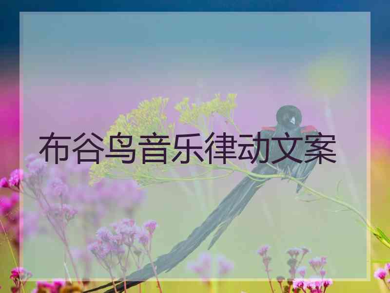 布谷鸟音乐律动文案 布谷鸟音乐律动文案