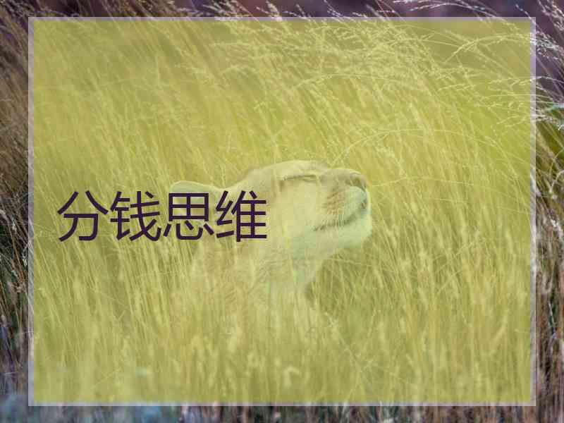 分钱思维 分钱思维