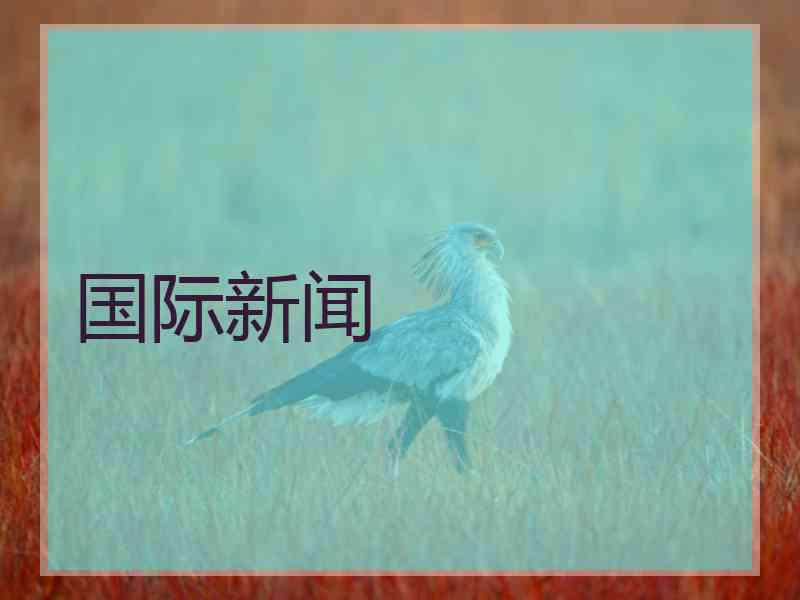 国际新闻 国际新闻