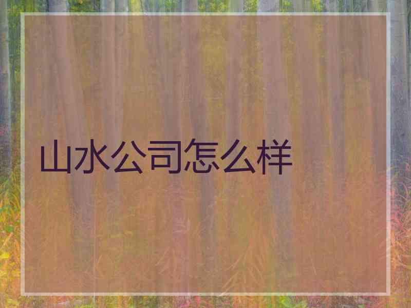山水公司怎么样 山水公司怎么样
