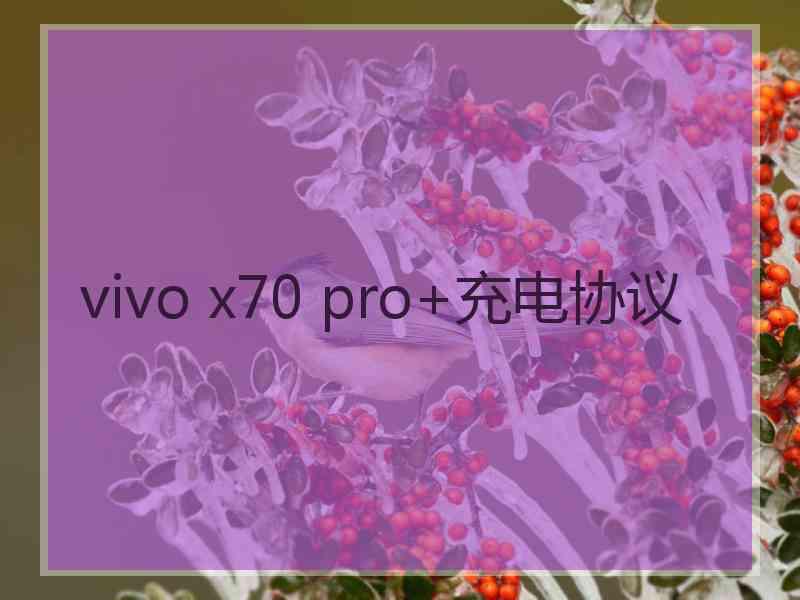 vivo x70 pro+充电协议 vivo x70 pro+充电协议
