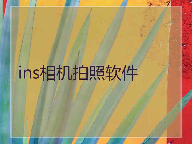 ins相机拍照软件 ins相机拍照软件