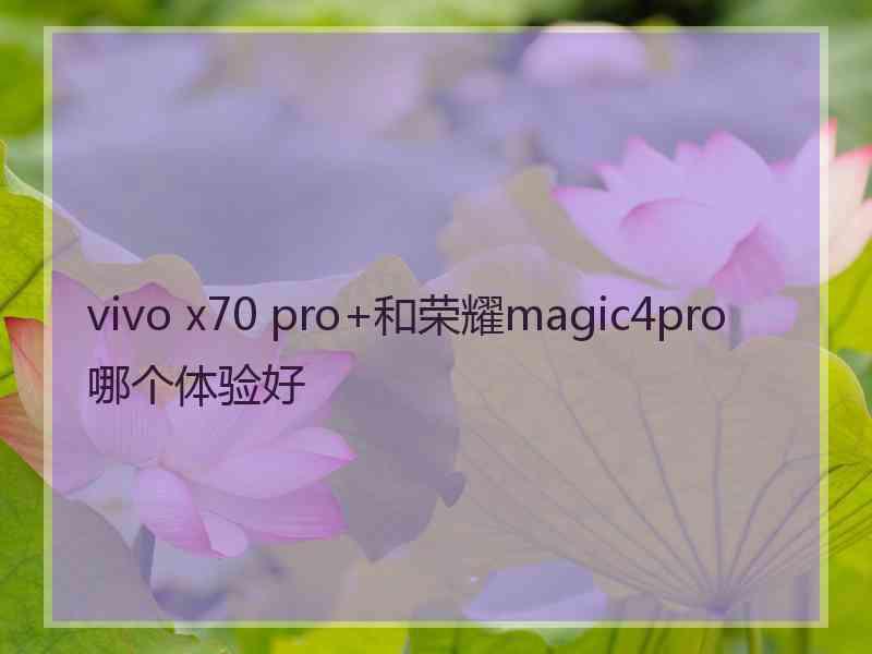 vivo x70 pro+和荣耀magic4pro哪个体验好 vivo x70 pro+和荣耀magic4pro哪个体验好