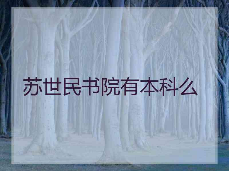 苏世民书院有本科么 苏世民书院有本科么