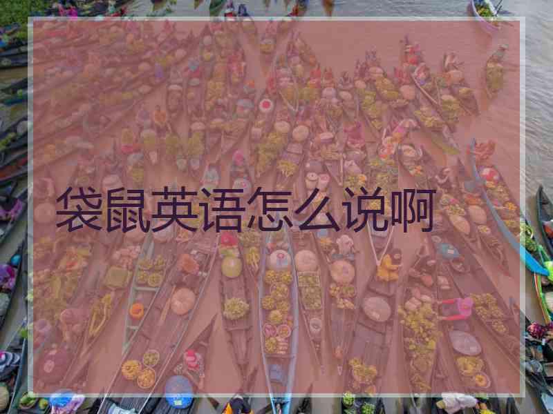 袋鼠英语怎么说啊 袋鼠英语怎么说啊