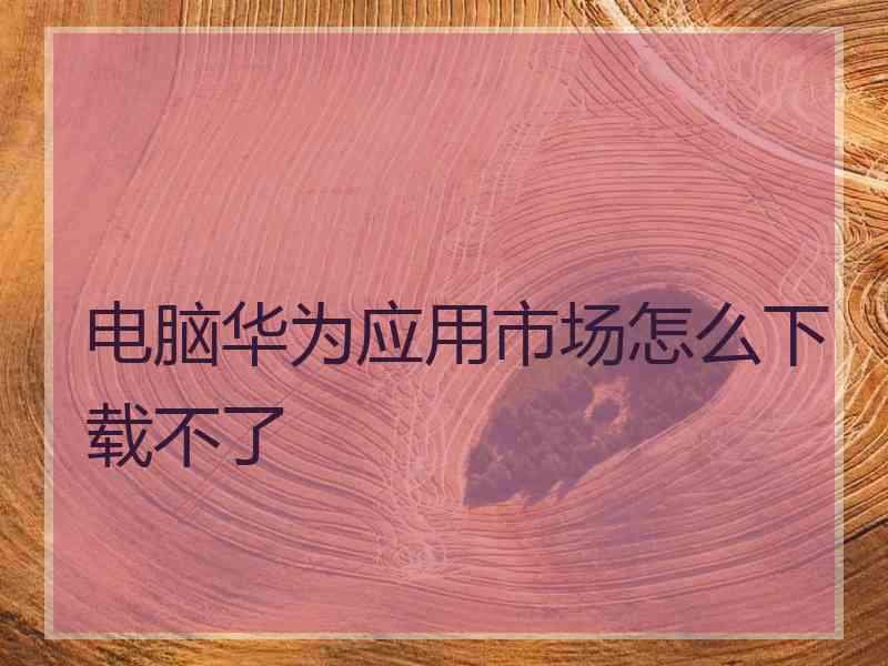 电脑华为应用市场怎么下载不了 电脑华为应用市场怎么下载不了