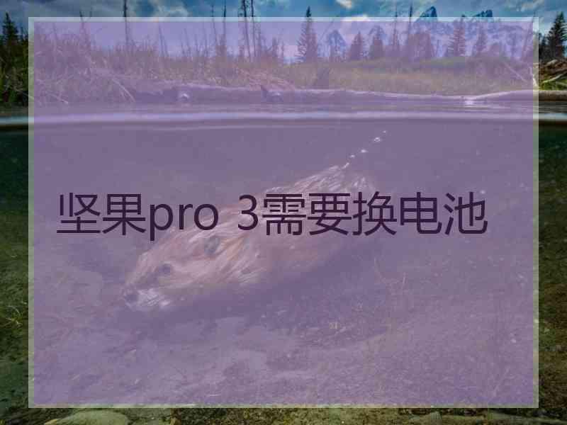 坚果pro 3需要换电池 坚果pro 3需要换电池