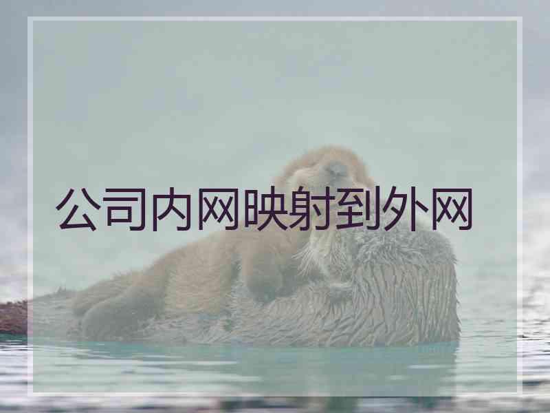 公司内网映射到外网 公司内网映射到外网