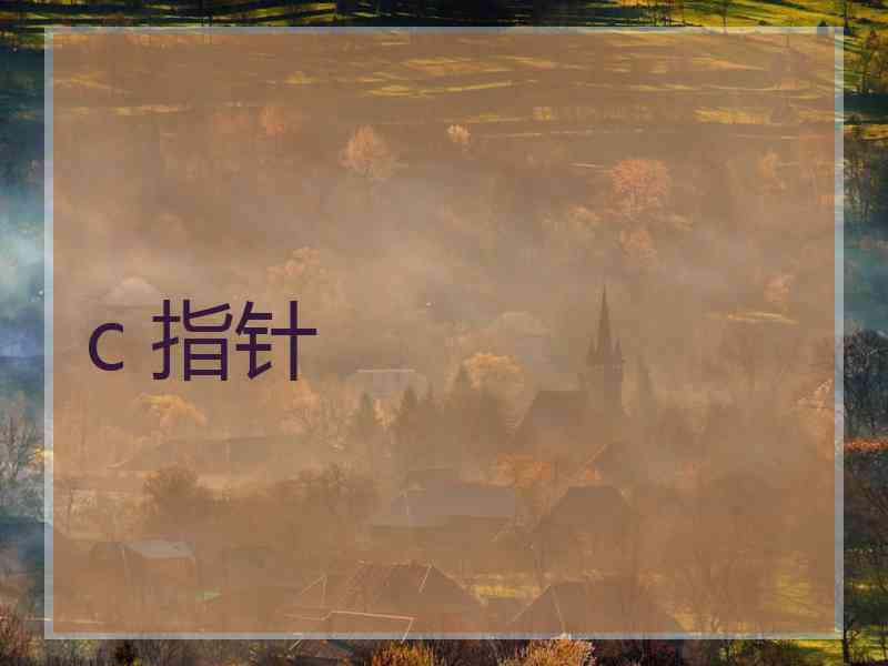 c 指针 c 指针