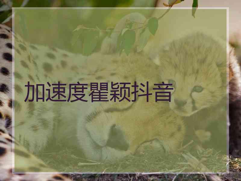 加速度瞿颖抖音 加速度瞿颖抖音