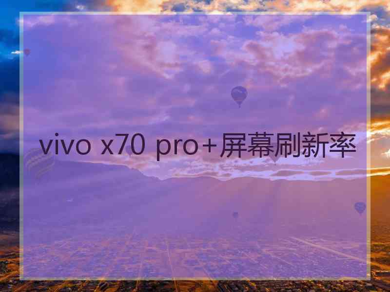 vivo x70 pro+屏幕刷新率 vivo x70 pro+屏幕刷新率