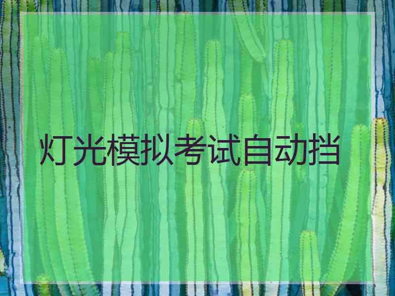 灯光模拟考试自动挡 灯光模拟考试自动挡