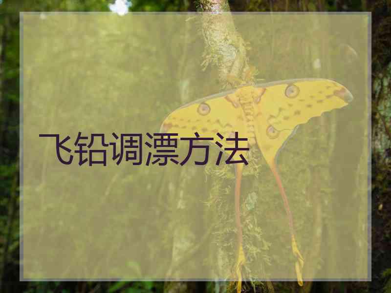 飞铅调漂方法 飞铅调漂方法