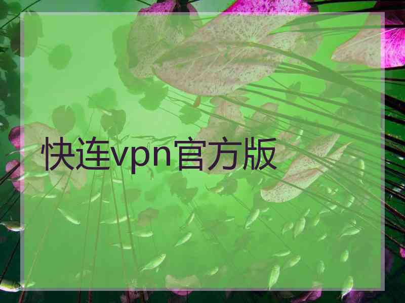 快连vpn官方版 快连vpn官方版