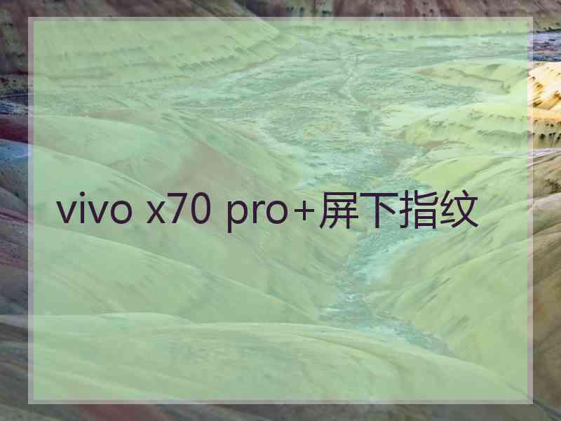 vivo x70 pro+屏下指纹 vivo x70 pro+屏下指纹