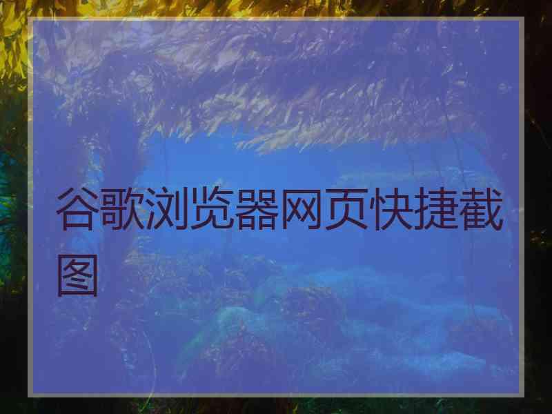 谷歌浏览器网页快捷截图 谷歌浏览器网页快捷截图