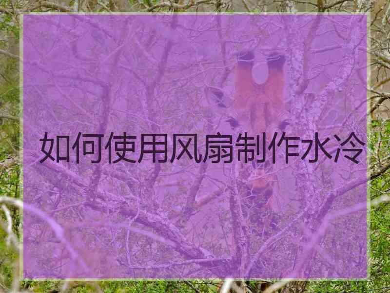 如何使用风扇制作水冷 如何使用风扇制作水冷