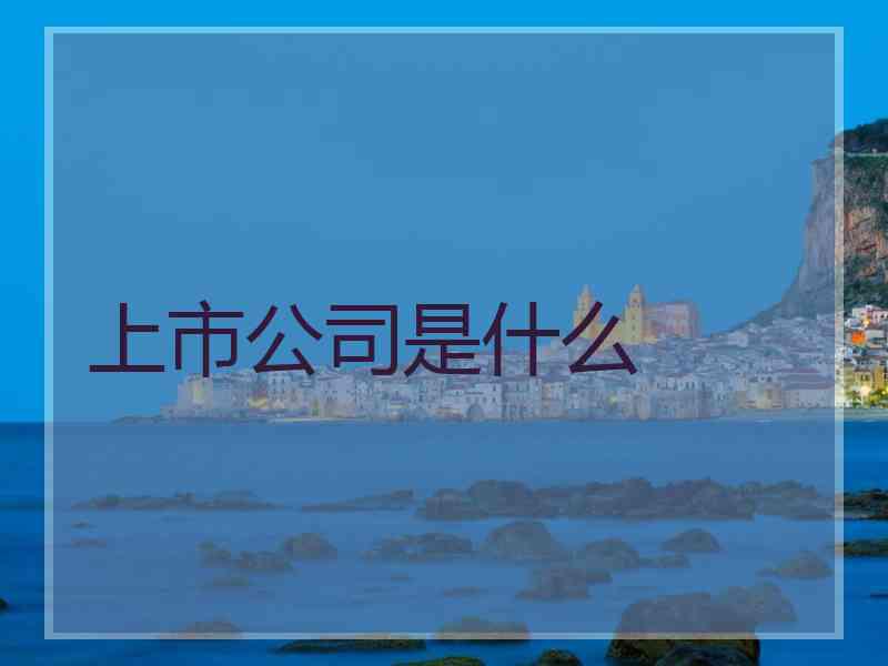 上市公司是什么 上市公司是什么