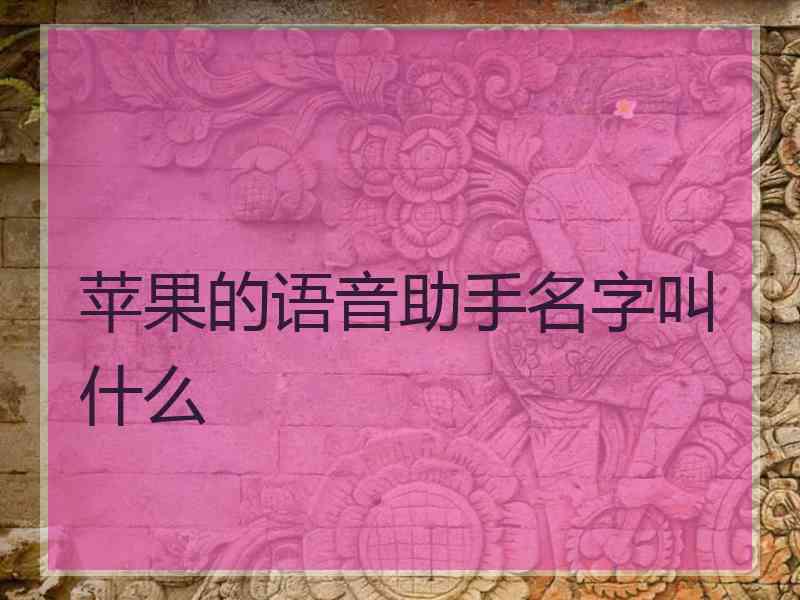 苹果的语音助手名字叫什么 苹果的语音助手名字叫什么