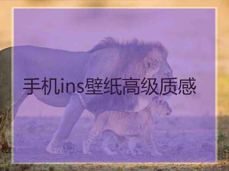 手机ins壁纸高级质感 手机ins壁纸高级质感