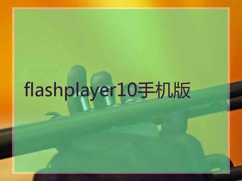 flashplayer10手机版 flashplayer10手机版
