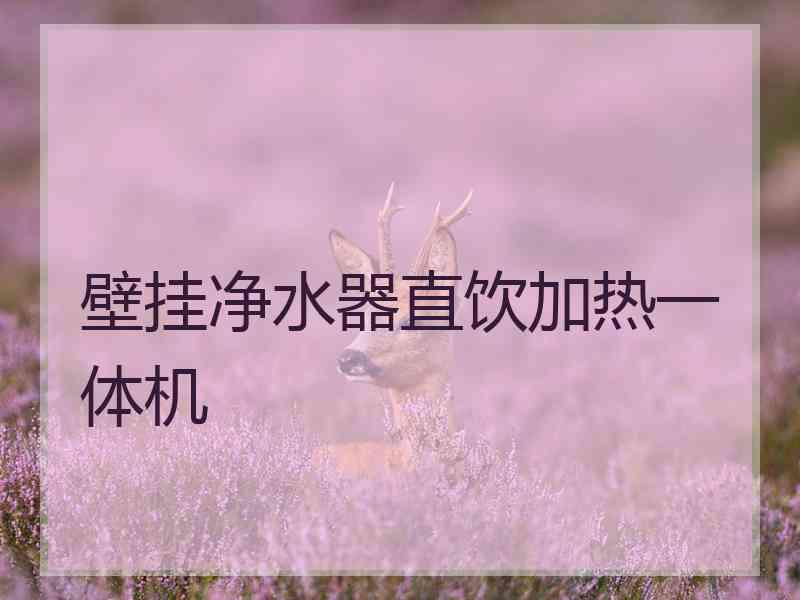 壁挂净水器直饮加热一体机 壁挂净水器直饮加热一体机