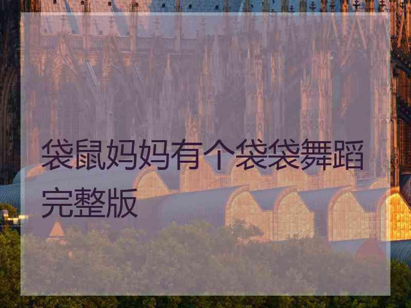 袋鼠妈妈有个袋袋舞蹈完整版 袋鼠妈妈有个袋袋舞蹈完整版