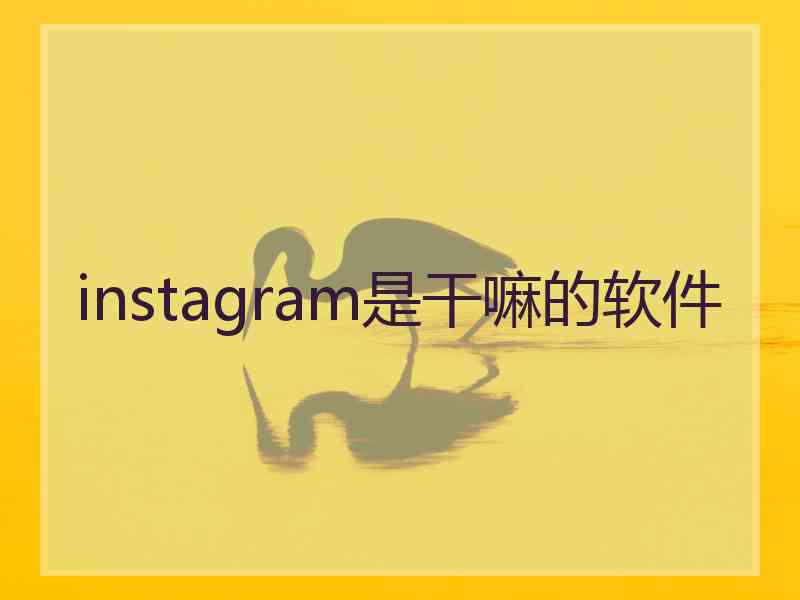 instagram是干嘛的软件 instagram是干嘛的软件