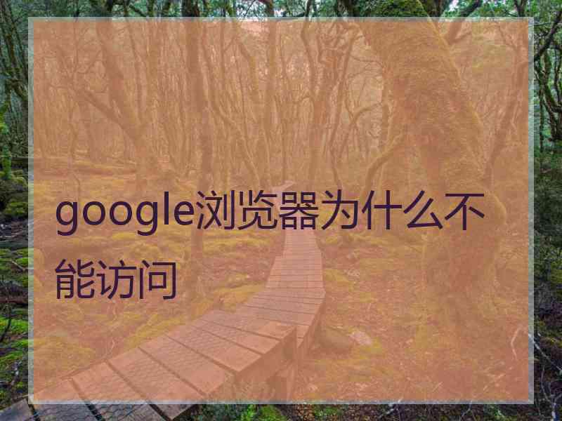 google浏览器为什么不能访问 google浏览器为什么不能访问