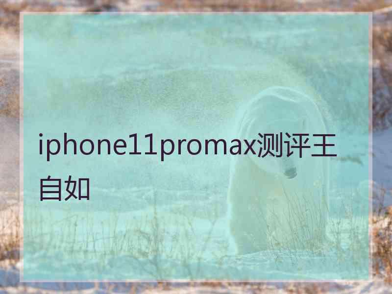 iphone11promax测评王自如 iphone11promax测评王自如