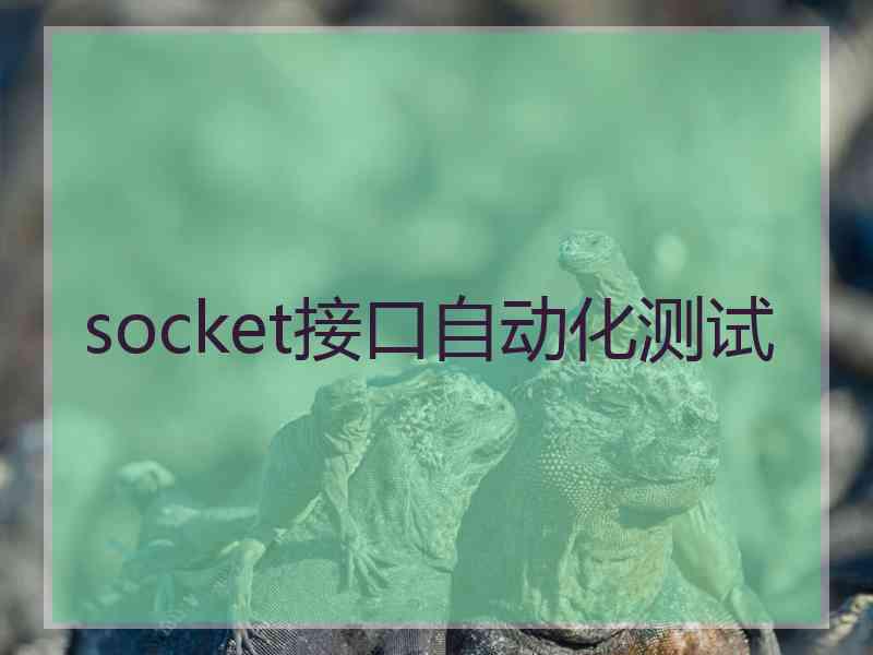socket接口自动化测试 socket接口自动化测试