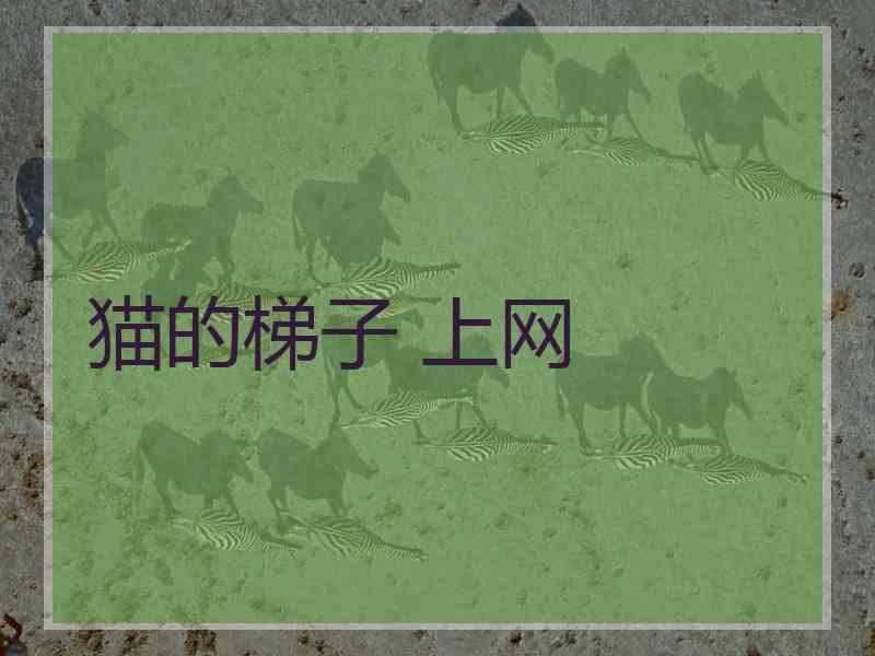 猫的梯子 上网 猫的梯子 上网