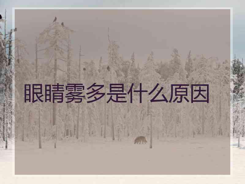 眼睛雾多是什么原因 眼睛雾多是什么原因