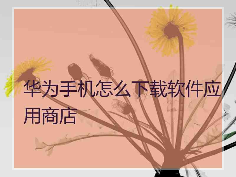 华为手机怎么下载软件应用商店 华为手机怎么下载软件应用商店