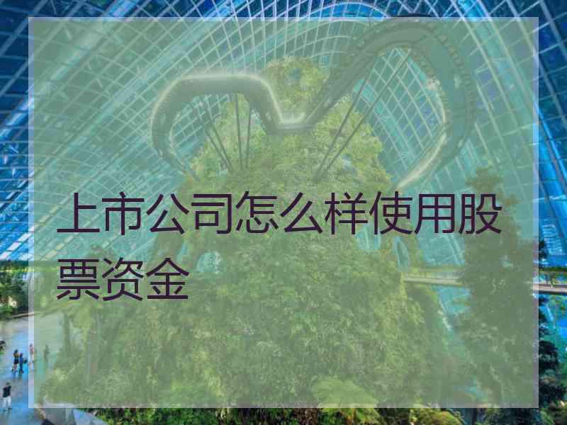 上市公司怎么样使用股票资金 上市公司怎么样使用股票资金