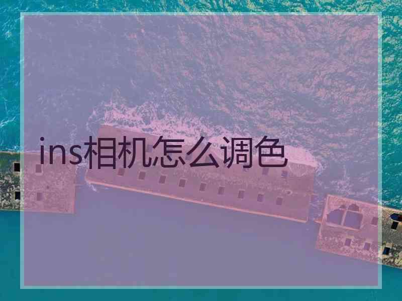 ins相机怎么调色 ins相机怎么调色