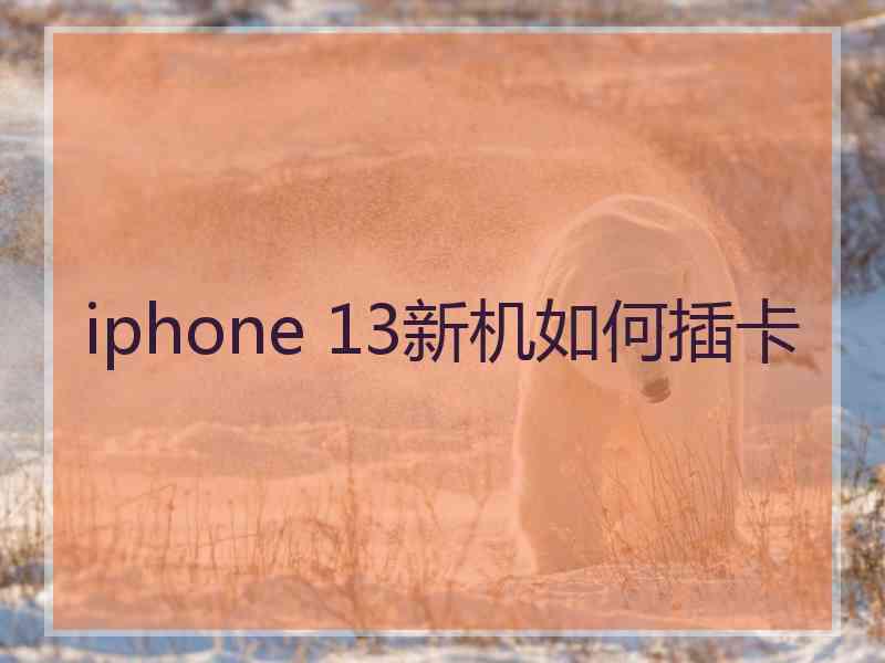 iphone 13新机如何插卡 iphone 13新机如何插卡