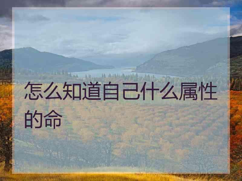 怎么知道自己什么属性的命 怎么知道自己什么属性的命