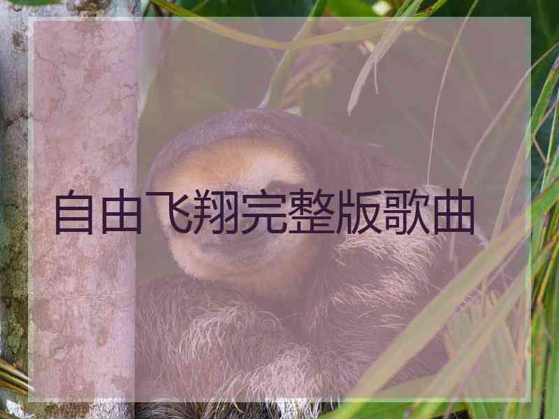 自由飞翔完整版歌曲 自由飞翔完整版歌曲