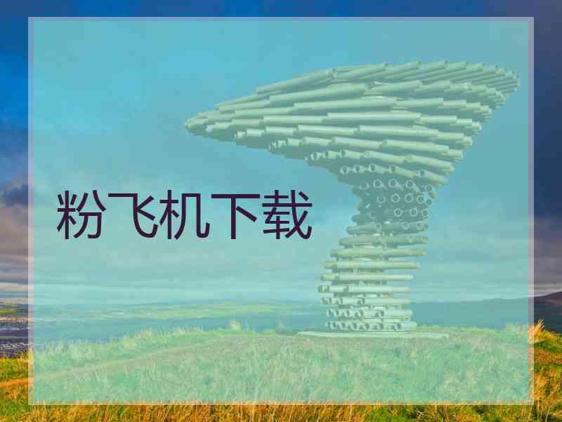 粉飞机下载 粉飞机下载